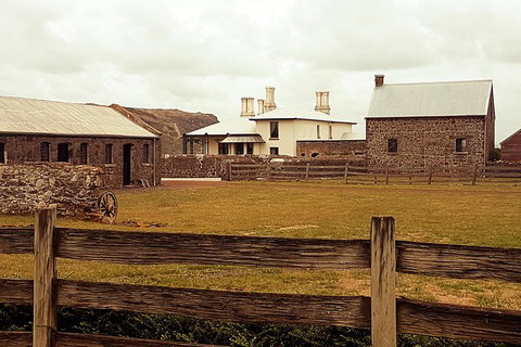 Cruise Ship Excursion: Stanley - Sunshine Coast Tourism 17