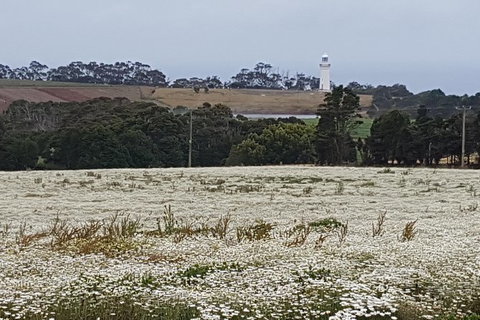 Cruise Ship Excursion: NW Tassie Coastal Explorer - Holiday Sunshine Coast 14