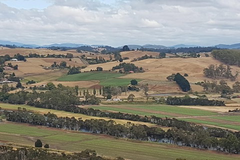 Cruise Ship Excursion: NW Tassie Coastal Explorer - Holiday Sunshine Coast 6