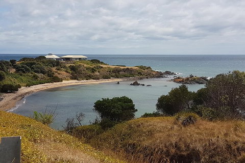 Cruise Ship Excursion: NW Tassie Coastal Explorer - Holiday Sunshine Coast 13