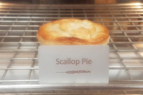 Cruise Ship Excursion: NW Tassie Coastal Explorer - Holiday Sunshine Coast 2