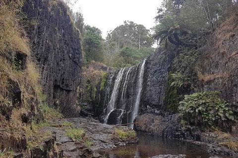Cruise Ship Excursion: NW Tassie Coastal Explorer - Holiday Sunshine Coast 16