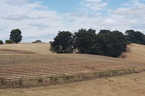 Cruise Ship Excursion: NW Tassie Coastal Explorer - Holiday Sunshine Coast 9