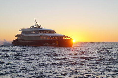 Afternoon Gordon River Dinner Cruise - Departing 3pm - Sunshine Coast Tourism 0