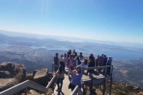 Mt. Wellington Morning Hike + Afternoon Beer & History Walk - Sunshine Coast Tourism 2