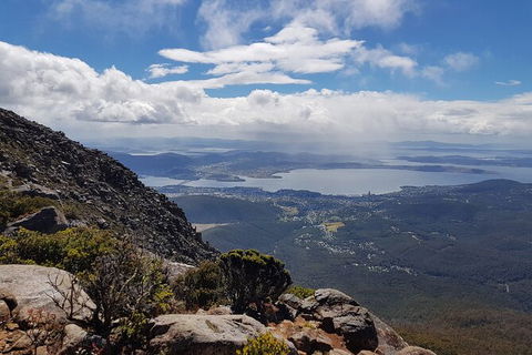 Mt. Wellington Morning Hike + Afternoon Beer & History Walk - Sunshine Coast Tourism 5