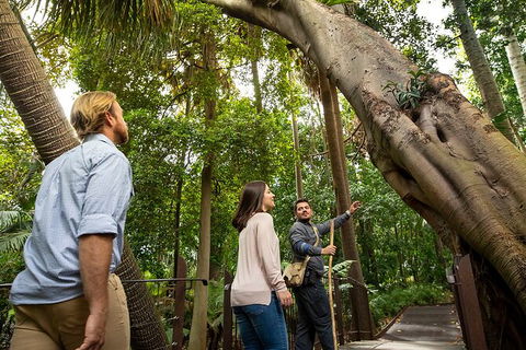 Aboriginal Heritage Walk - Royal Botanic Gardens Victoria, Melbourne Gardens - Sunshine Coast Tourism 1