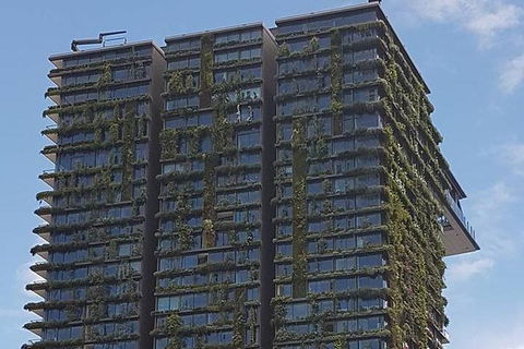 Sydney&Melbourne City Lovers- 2 Day Combo Private Tour! - Sunshine Coast Tourism 2