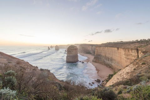 PRIVATE Great Ocean Road Tour And 12 Apostles With Wildlife Spotting - Sunshine Coast Tourism 0