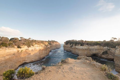 PRIVATE Great Ocean Road Tour And 12 Apostles With Wildlife Spotting - Sunshine Coast Tourism 1