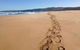 Private Great Ocean Road Full Day Tour - 1 Day Tour - thumb 2