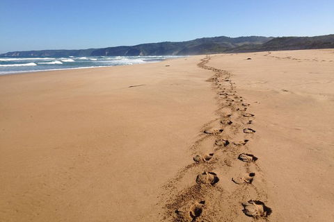 Private Great Ocean Road Full Day Tour - 1 Day Tour - Sunshine Coast Tourism 2