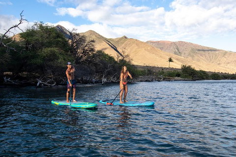 Stand Up Paddle Boarding Hire - Holiday Sunshine Coast 2