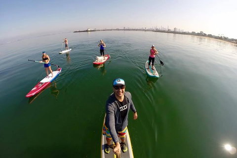 Stand Up Paddle Boarding Hire - Holiday Sunshine Coast 1