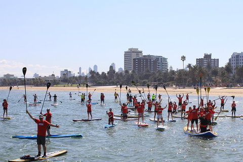 Stand Up Paddle Boarding Hire - Holiday Sunshine Coast 5