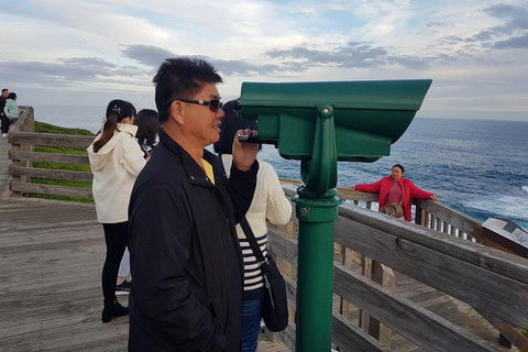 Phillip Island Private Experience - Holiday Sunshine Coast 14