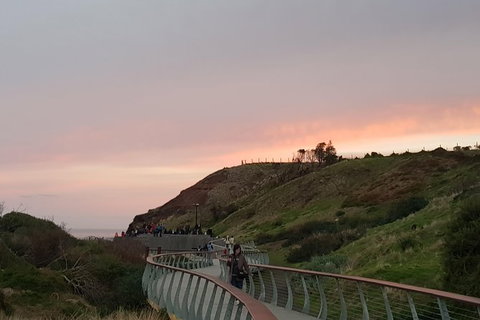 Phillip Island Private Experience - Holiday Sunshine Coast 25