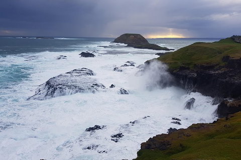 Phillip Island Private Experience - Holiday Sunshine Coast 18