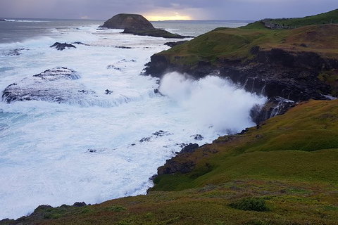 Phillip Island Private Experience - Holiday Sunshine Coast 5