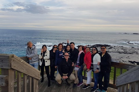 Phillip Island Private Experience - Holiday Sunshine Coast 16