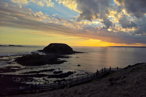 Phillip Island Private Experience - Holiday Sunshine Coast 15