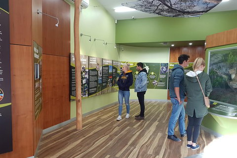 Phillip Island Private Experience - Holiday Sunshine Coast 27