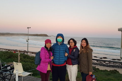 Phillip Island Private Experience - Holiday Sunshine Coast 9