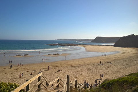 Phillip Island Private Experience - Holiday Sunshine Coast 23