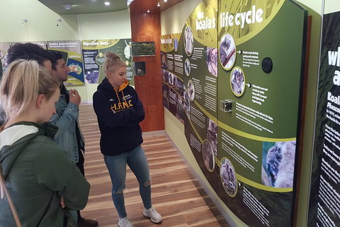 Phillip Island Private Experience - Holiday Sunshine Coast 10