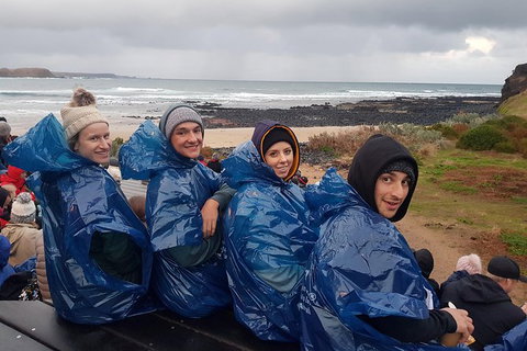 Phillip Island Private Experience - Holiday Sunshine Coast 20