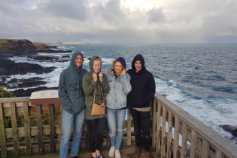 Phillip Island Private Experience - Holiday Sunshine Coast 19