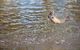 Skip The Line: Fishing Experience Ticket - Buxton Trout & Salmon - thumb 1