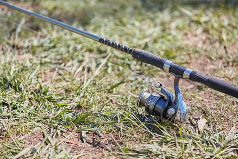 Skip The Line: Fishing Experience Ticket - Buxton Trout & Salmon - Sunshine Coast Tourism 14