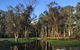 Skip The Line: Fishing Experience Ticket - Buxton Trout & Salmon - thumb 17