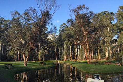 Skip The Line: Fishing Experience Ticket - Buxton Trout & Salmon - Sunshine Coast Tourism 17