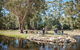 Skip The Line: Fishing Experience Ticket - Buxton Trout & Salmon - thumb 12