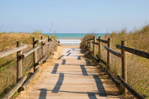 Cruise Ship Shore Excursion - Private Great Ocean Road Full Day Tour (12 Hour) - Sunshine Coast Tourism 0