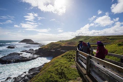 Full-Day Bus Tour Phillip Island Wildlife And Brighton Beach - Holiday Sunshine Coast 0