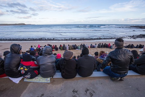 Full-Day Bus Tour Phillip Island Wildlife And Brighton Beach - Holiday Sunshine Coast 7