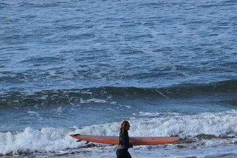 Full-Day Bus Tour Phillip Island Wildlife And Brighton Beach - Holiday Sunshine Coast 8