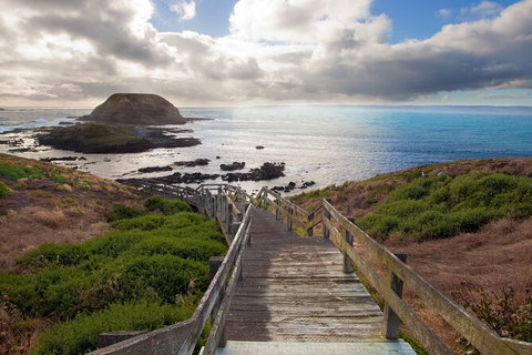 Full-Day Bus Tour Phillip Island Wildlife And Brighton Beach - Holiday Sunshine Coast 5