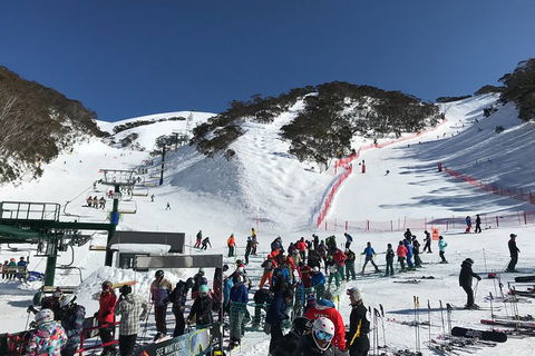 Alpine Ultimate Snow Trip - Sunshine Coast Tourism 4