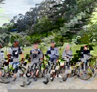 Aqueduct and Rail Trail Self-Guided Bike Tour in Warburton - Sunshine Coast Tourism