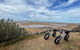 E-Bike Hire Super Cruzer In Phillip Island - thumb 3