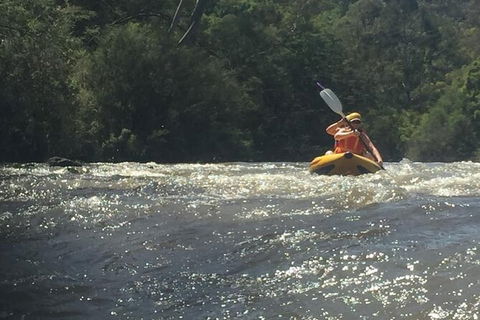 Yarra River Half-Day Rafting Experience - Sunshine Coast Tourism 5