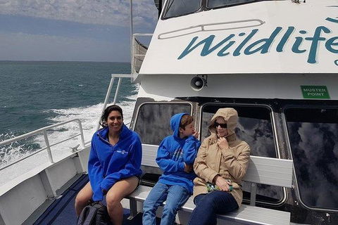 Phillip Island Penguin And Wildlife Tour - Holiday Sunshine Coast 15