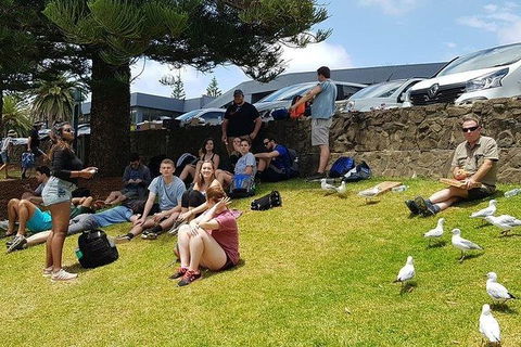 Phillip Island Penguin And Wildlife Tour - Holiday Sunshine Coast 22