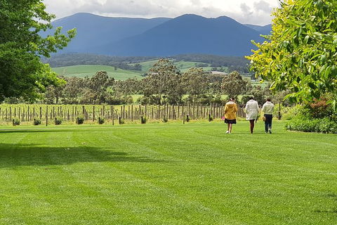 Yarra Valley Wine Tasting Day Tour From Melbourne - Sunshine Coast Tourism 6