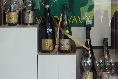 Yarra Valley Wine Tasting Day Tour From Melbourne - Sunshine Coast Tourism 2