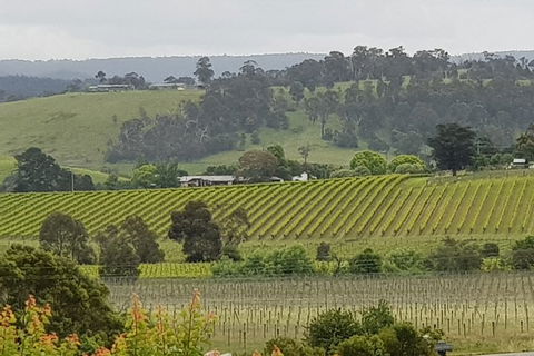 Yarra Valley Wine Tasting Day Tour From Melbourne - Sunshine Coast Tourism 0